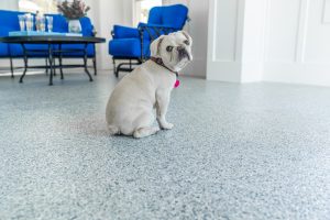 dog sitting on polyurea concrete flooring